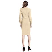 Women's Knitting stretchable Solid Round Neck Full Sleeve Dress (Beige)
