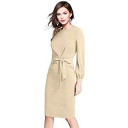 Women's Knitting stretchable Solid Round Neck Full Sleeve Dress (Beige)